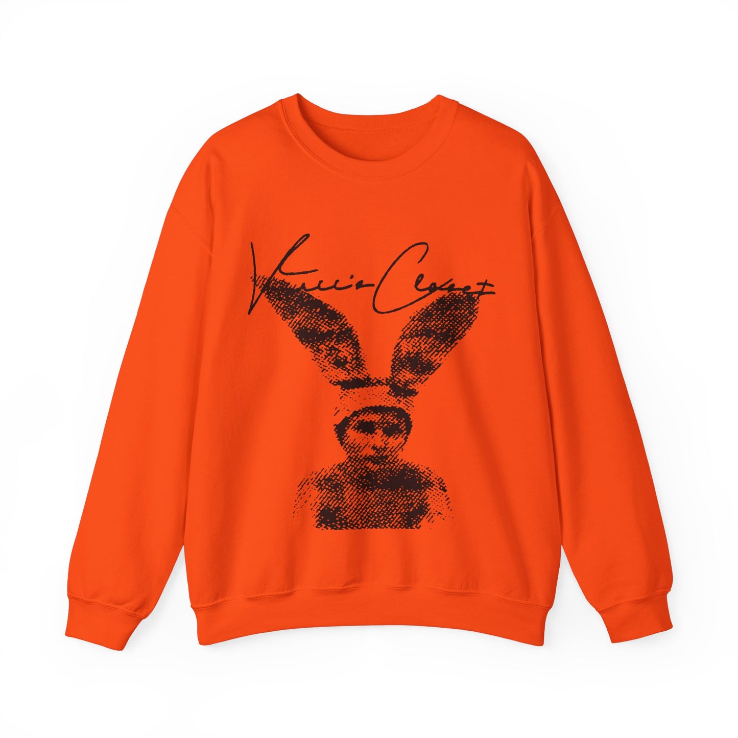 Bunny Boy Sweatshirt